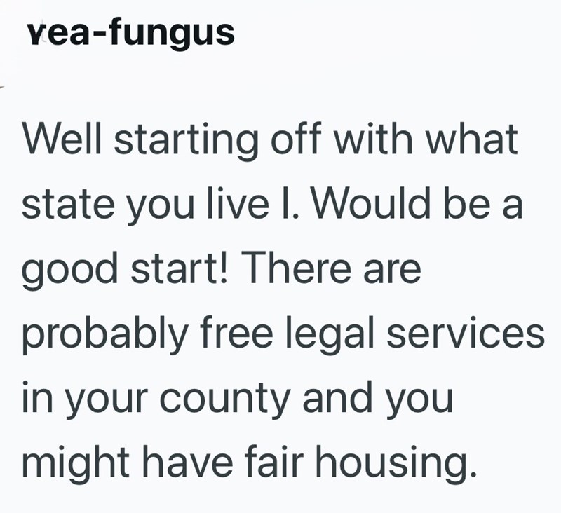vea-fungus Well starting off with what state you live I. Would be a good start! There are probably free legal services in your county and you might have fair housing.