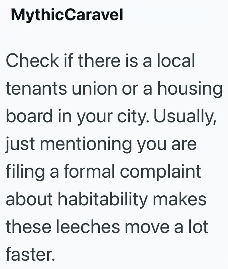 MythicCaravel Check if there is a local tenants union or a housing board in your city. Usually, just mentioning you are filing a formal complaint about habitability makes these leeches move a lot faster.