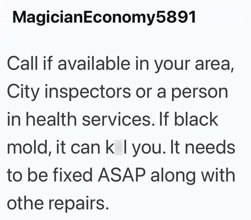MagicianEconomy5891 Call if available in your area, City inspectors or a person in health services. If black mold, it can k I you. It needs to be fixed ASAP along with othe repairs.