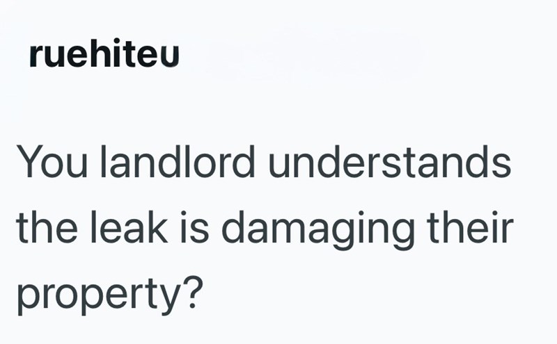 ruehiteu You landlord understands the leak is damaging their property?