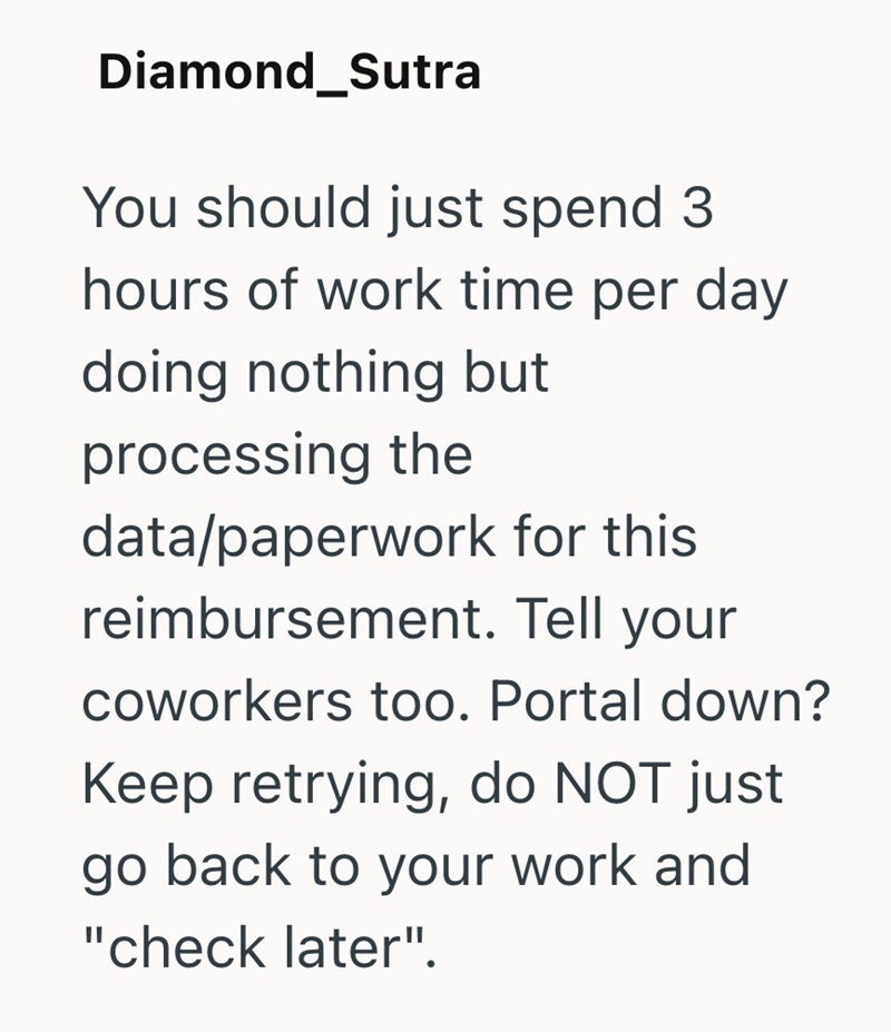 Diamond_Sutra You should just spend 3 hours of work time per day doing nothing but processing the data/paperwork for this reimbursement. Tell your coworkers too. Portal down? Keep retrying, do NOT just go back to your work and "check later".