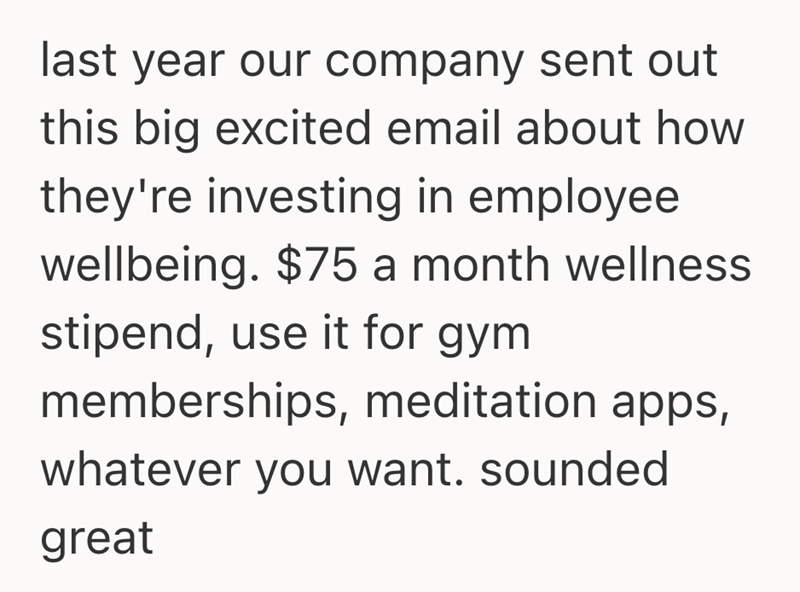 last year our company sent out this big excited email about how they're investing in employee wellbeing. $75 a month wellness stipend, use it for gym memberships, meditation apps, whatever you want. sounded great