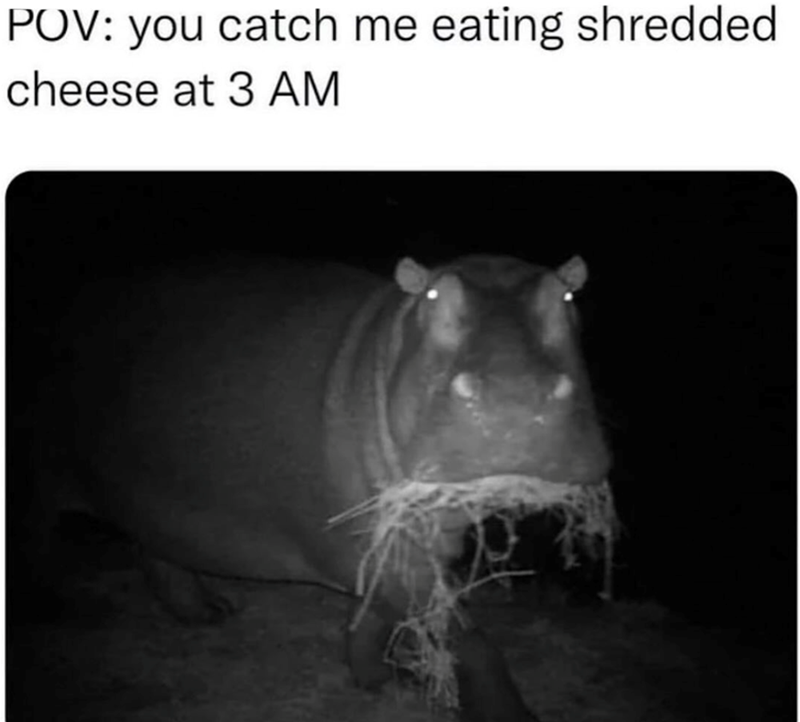 POV: you catch me eating shredded cheese at 3 AM