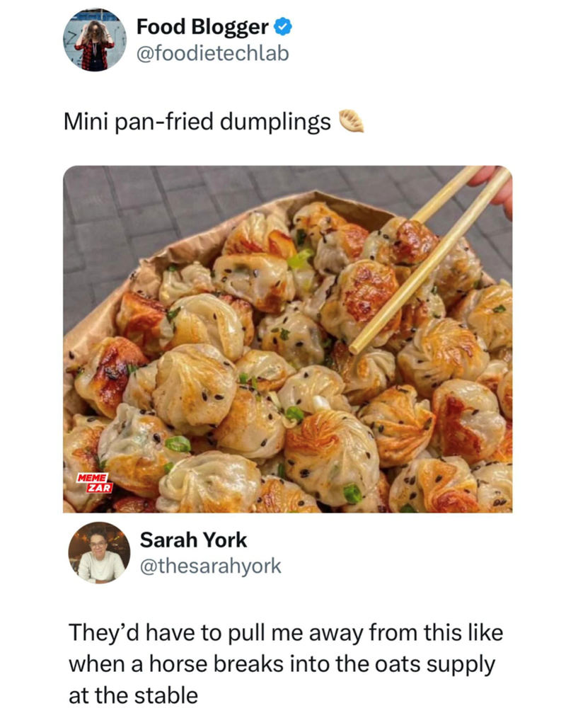 Food Blogger @foodietechlab Mini pan-fried dumplings MEME ZAR Sarah York @thesarahyork They'd have to pull me away from this like when a horse breaks into the oats supply at the stable