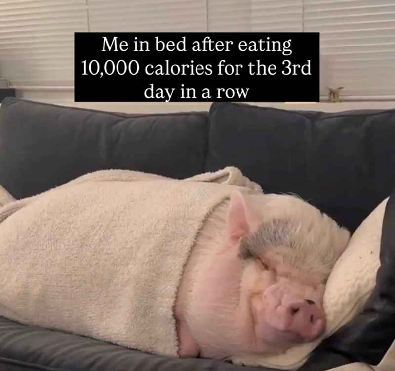 Me in bed after eating 10,000 calories for the 3rd day in a row