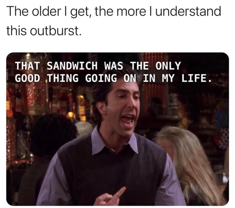 The older I get, the more I understand this outburst. THAT SANDWICH WAS THE ONLY GOOD THING GOING ON IN MY LIFE.