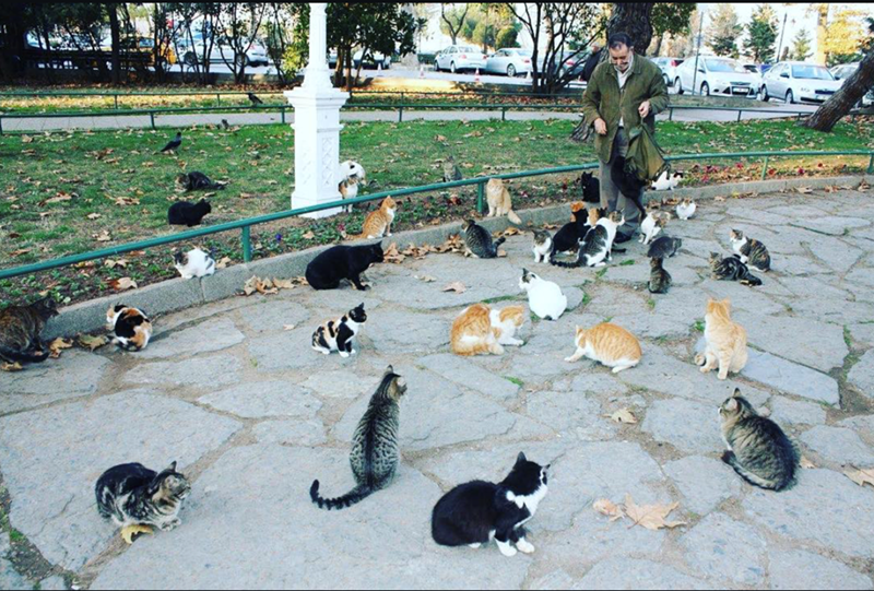 Cheezburger Image 10628135680