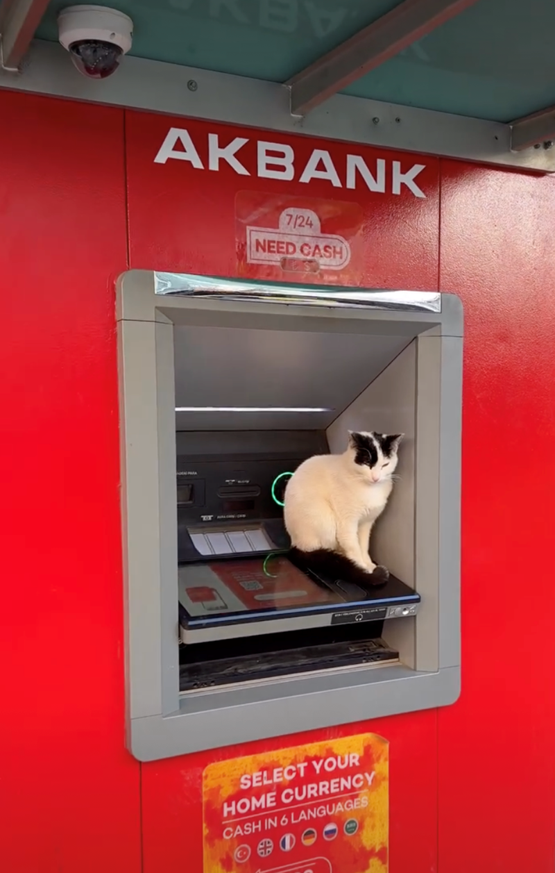 AKBANK 7/24 NEED CASH) TTM.com SELECT YOUR HOME CURRENCY CASH IN 6 LANGUAGES