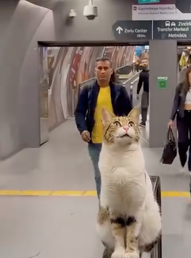 Gayrettepe-Istanbul) Zincirl Zorlu Center Transfer Merkezi Metrobüs