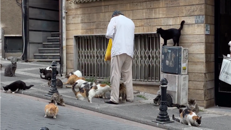 295 L8-10 X X X X X X X CCO