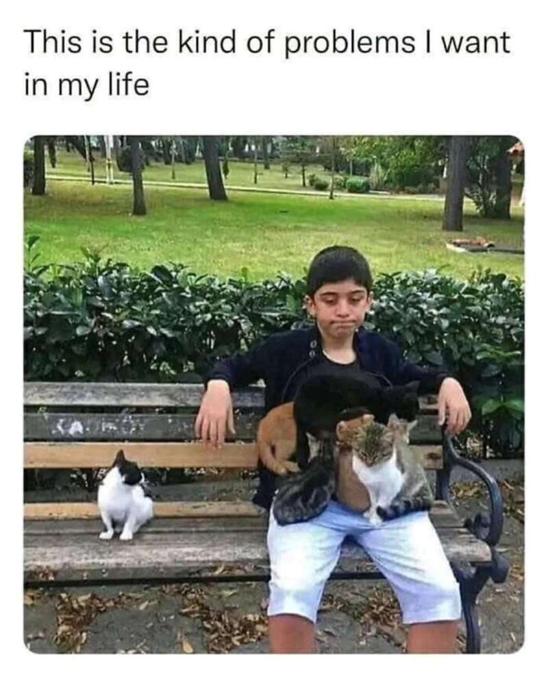 This is the kind of problems I want in my life
