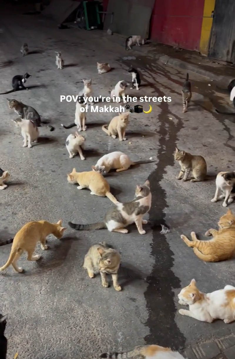 POV: you're in the streets of Makkah