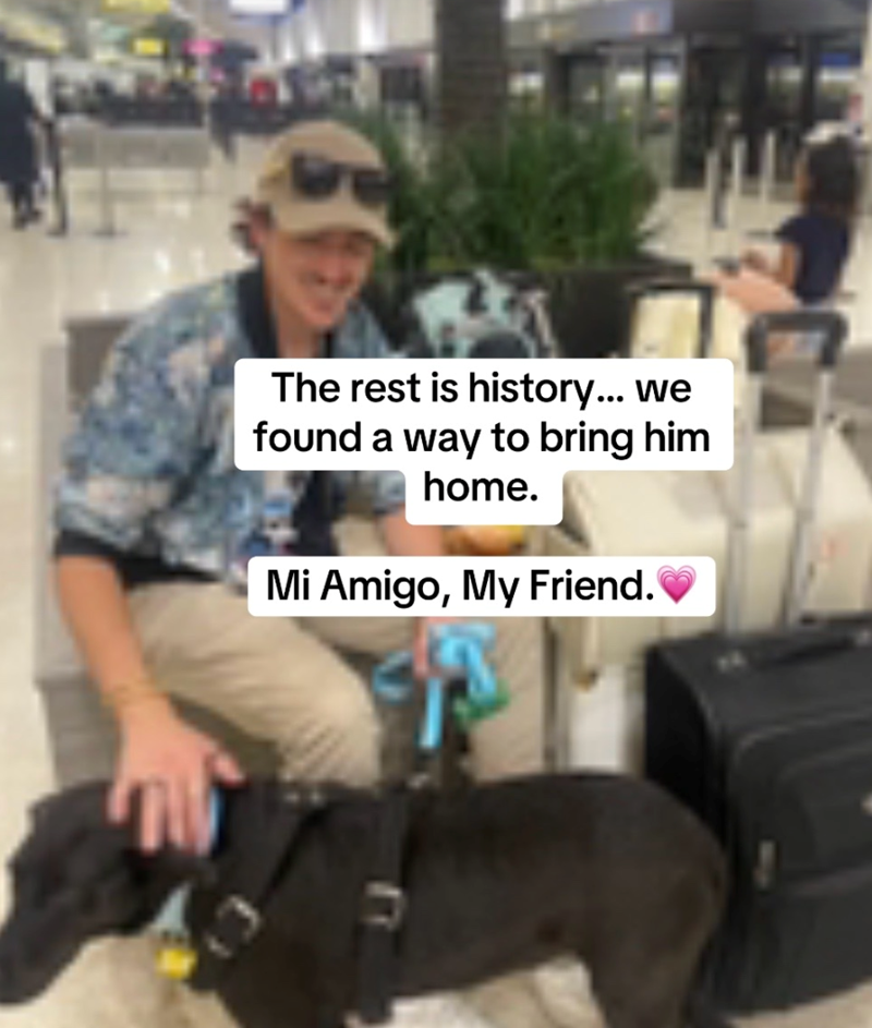 The rest is history... we found a way to bring him home. Mi Amigo, My Friend.♥