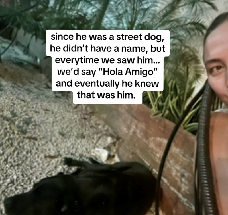 since he was a street dog, he didn't have a name, but everytime we saw him... we'd say "Hola Amigo" and eventually he knew that was him.