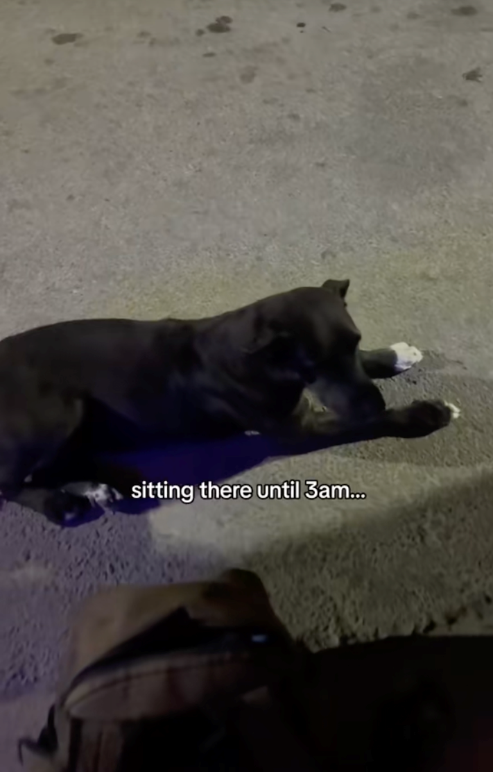 sitting there until 3am...