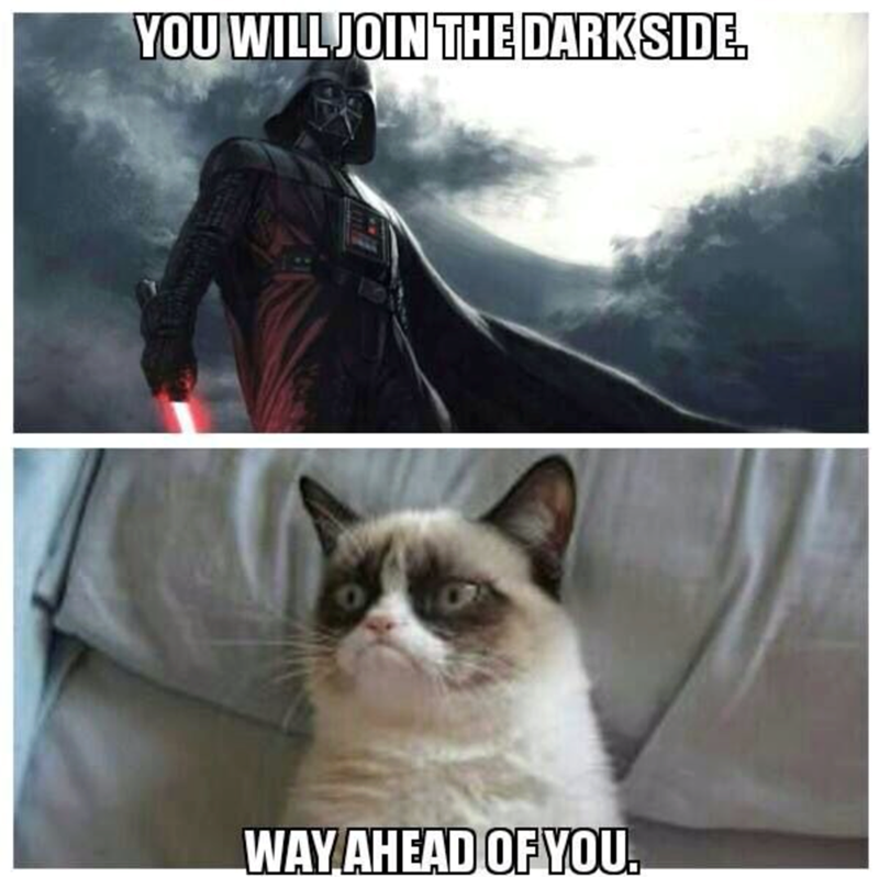 YOU WILL JOIN THE DARK SIDE. WAY AHEAD OF YOU.