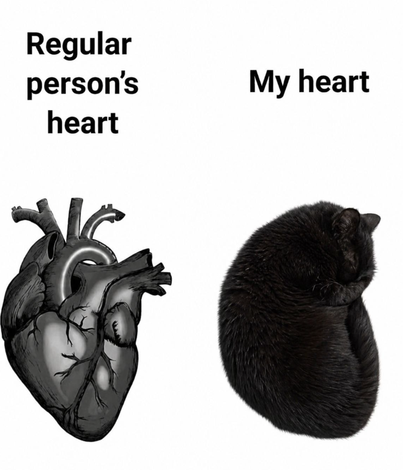 Regular person's My heart heart