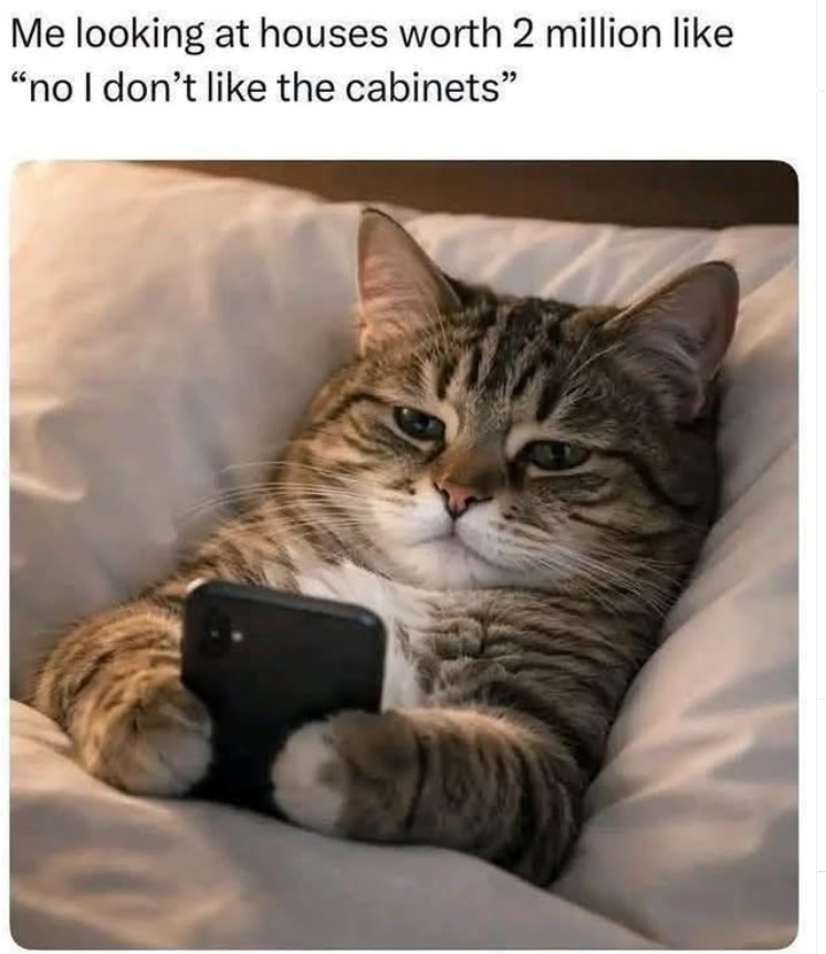 Me looking at houses worth 2 million like "no I don't like the cabinets"