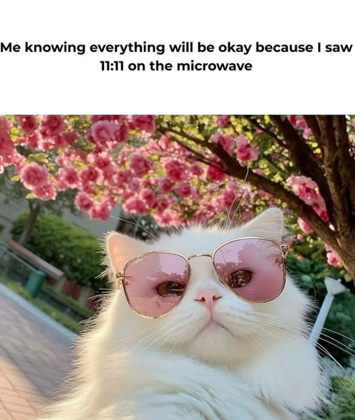 Me knowing everything will be okay because I saw 11:11 on the microwave