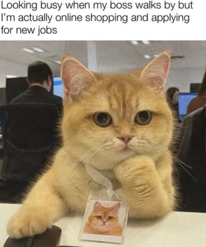 Looking busy when my boss walks by but I'm actually online shopping and applying for new jobs