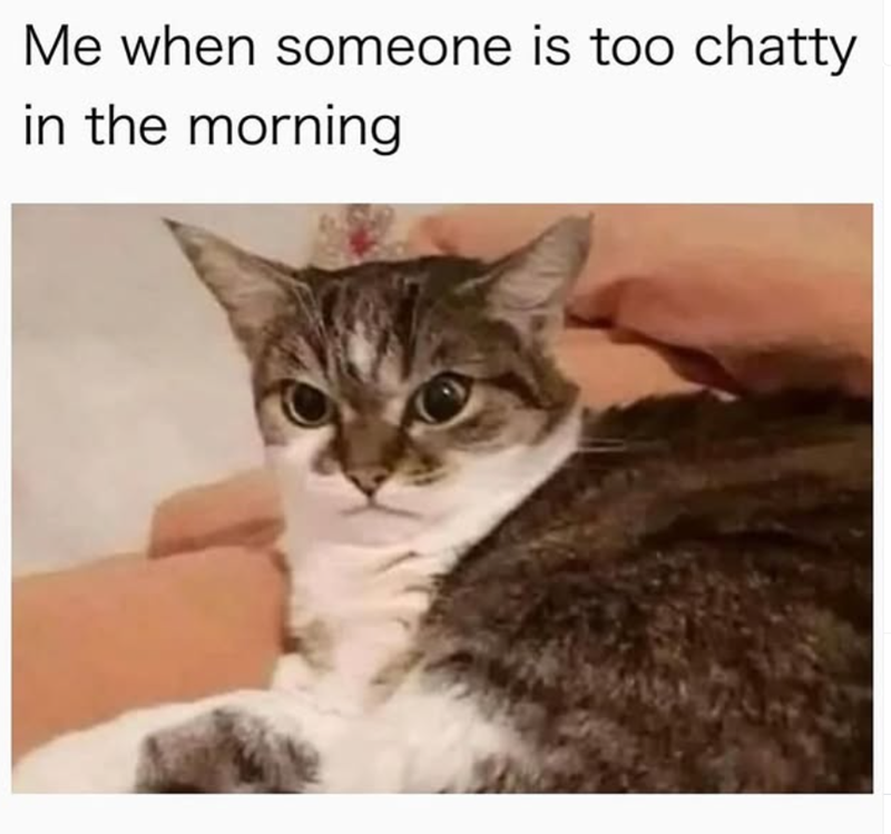 Me when someone is too chatty in the morning