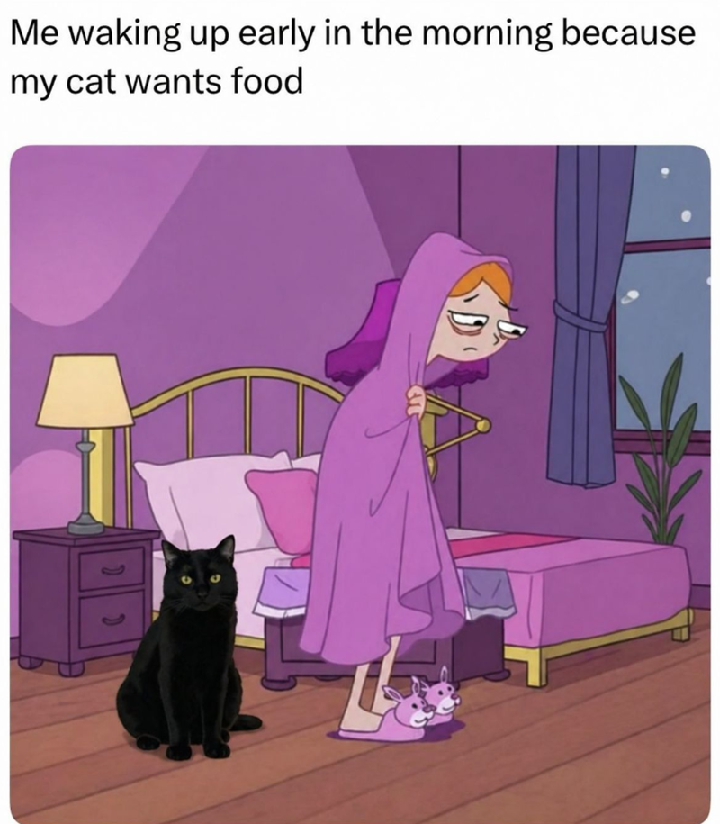 Me waking up early in the morning because my cat wants food