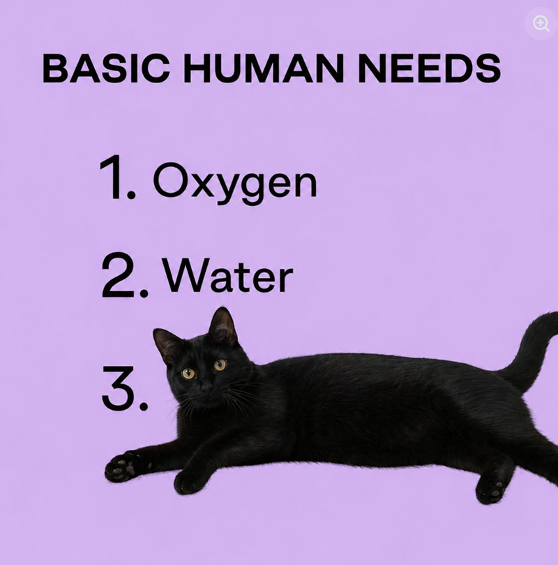 BASIC HUMAN NEEDS 1. Oxygen 2. Water N 3.