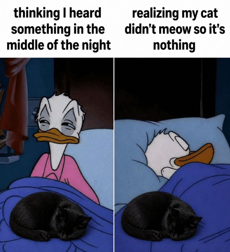 thinking I heard something in the middle of the night realizing my cat didn't meow so it's nothing
