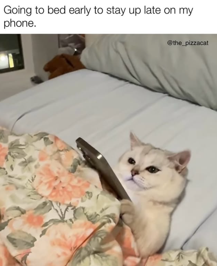 Going to bed early to stay up late on my phone. @the_pizzacat
