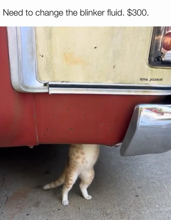 Need to change the blinker fluid. $300. @the_pizzacat