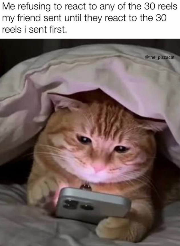 Me refusing to react to any of the 30 reels my friend sent until they react to the 30 reels i sent first. @the_pizzacat