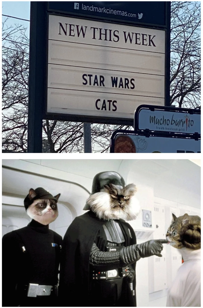 A landmarkcinemas.com NEW THIS WEEK STAR WARS CATS Muchoburrito trech mexican grill 1