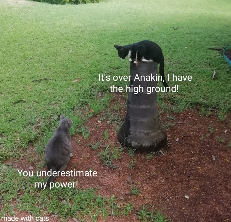 You underestimate my power! made with cats It's over Anakin, I have the high ground!