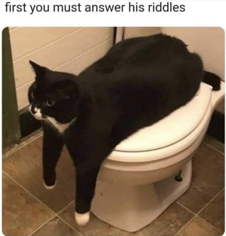 first you must answer his riddles