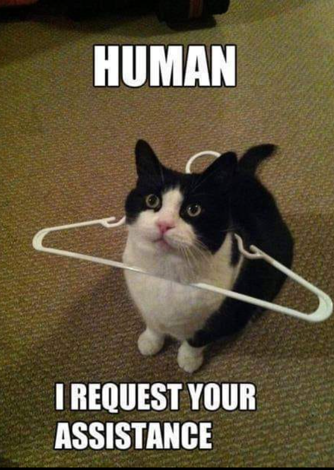 HUMAN I REQUEST YOUR ASSISTANCE