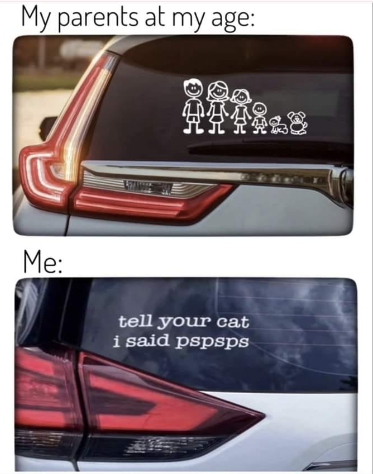 My parents at my age: Me: tell your cat i said pspsps