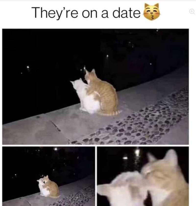They're on a date