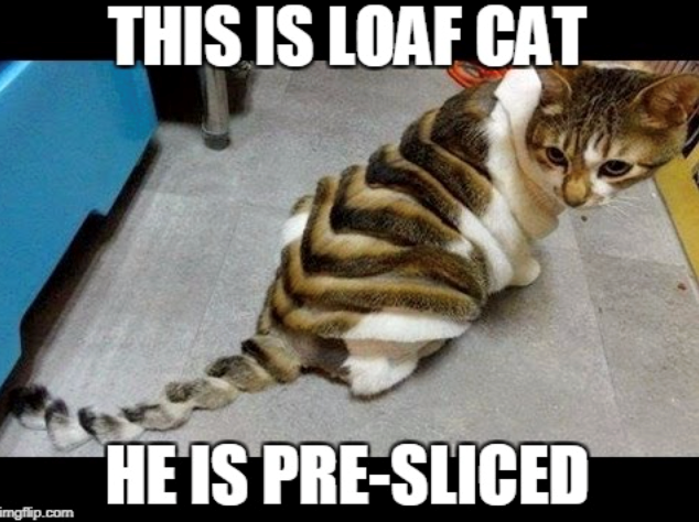 THIS IS LOAF CAT HE IS PRE-SLICED imgflip.com
