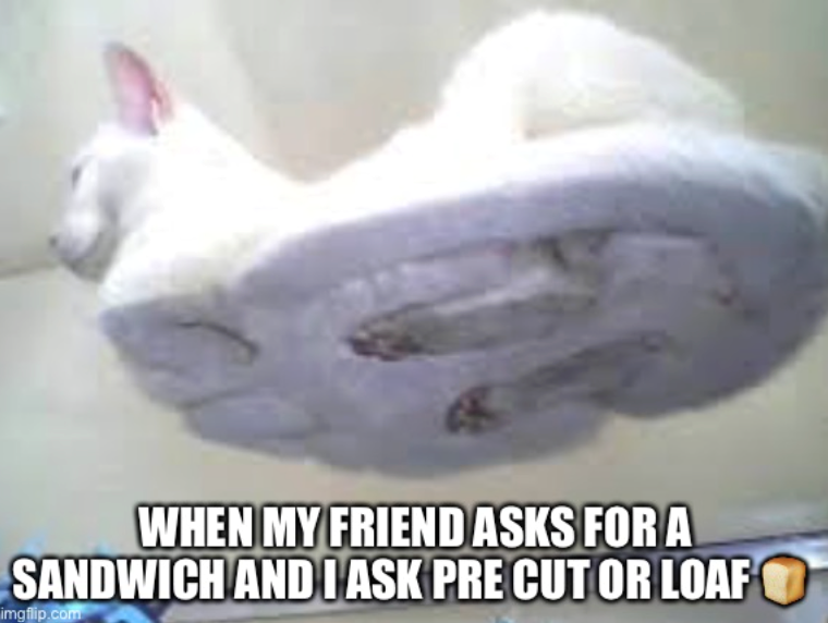 WHEN MY FRIEND ASKS FOR A SANDWICH AND I ASK PRE CUT OR LOAF imgflip.com
