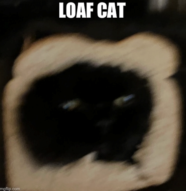 mgflip.com LOAF CAT