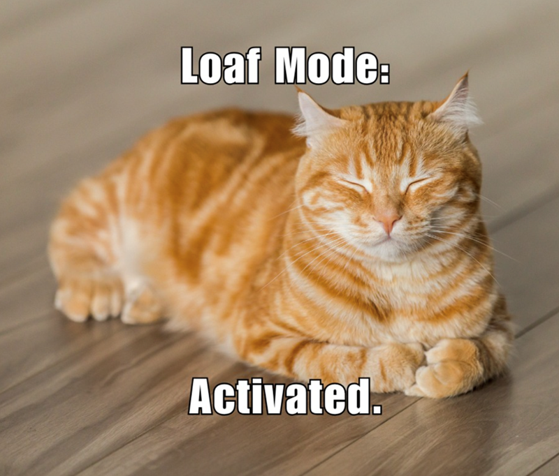 Loaf Mode: Activated.