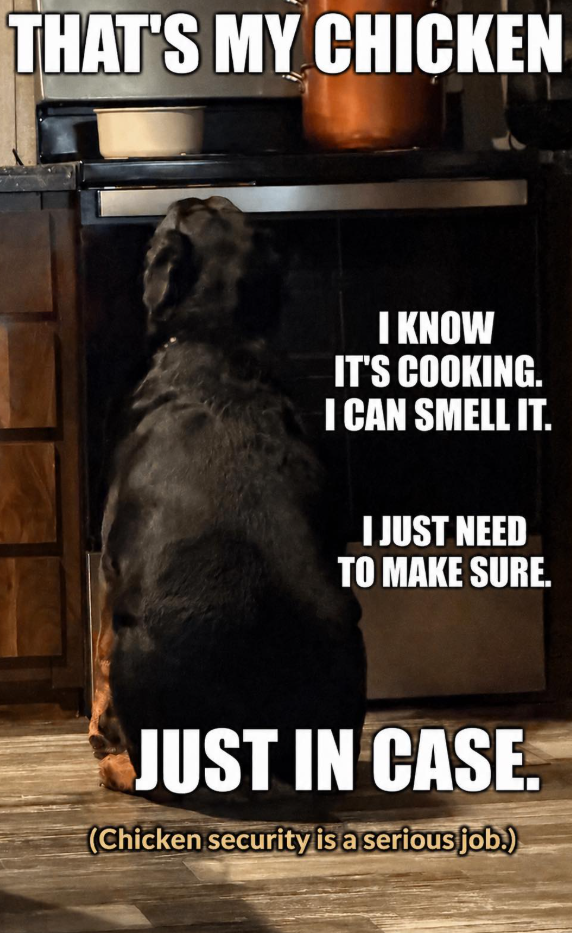 THAT'S MY CHICKEN I KNOW IT'S COOKING. I CAN SMELL IT. I JUST NEED TO MAKE SURE. JUST IN CASE. (Chicken security is a serious job.)