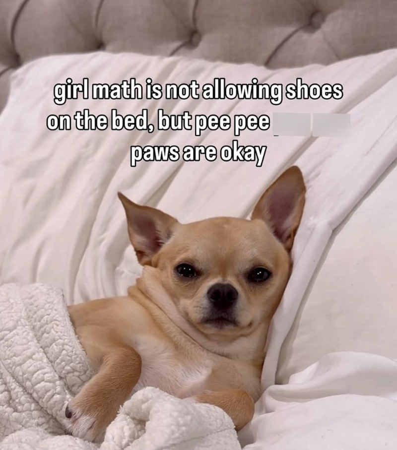 girl math is not allowing shoes on the bed, but pee pee paws are okay