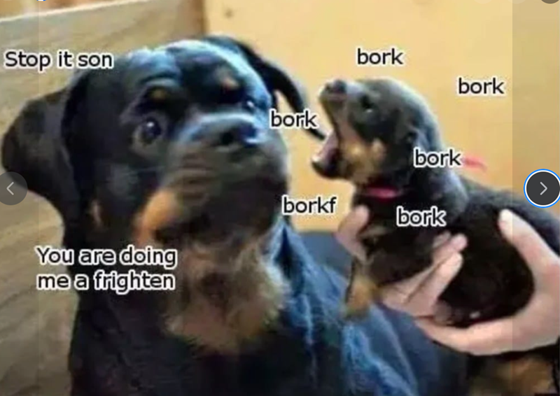 Stop it son bork bork bork borkf bork You are doing me a frighten bork