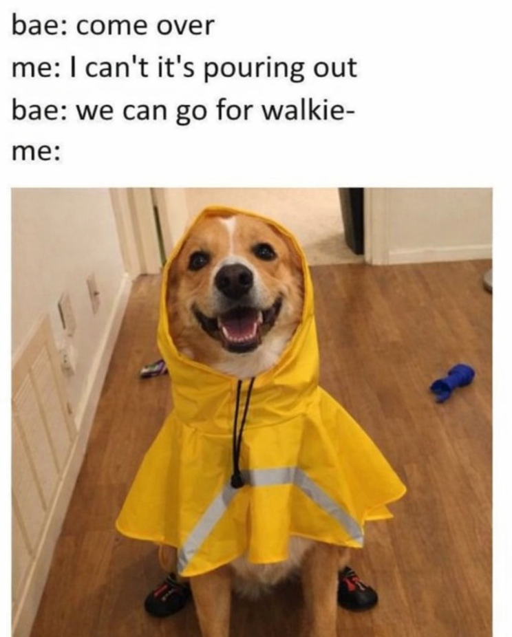 bae: come over me: I can't it's pouring out bae: we can go for walkie- me: