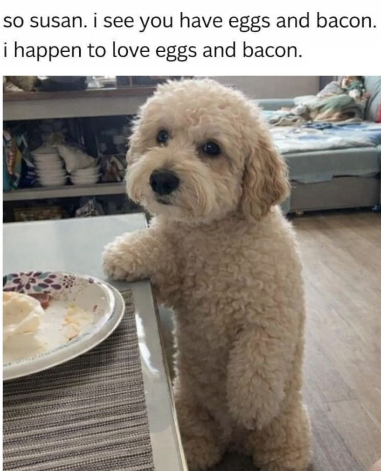 so susan. i see you have eggs and bacon. i happen to love eggs and bacon.