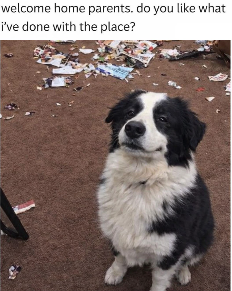 welcome home parents. do you like what i've done with the place?