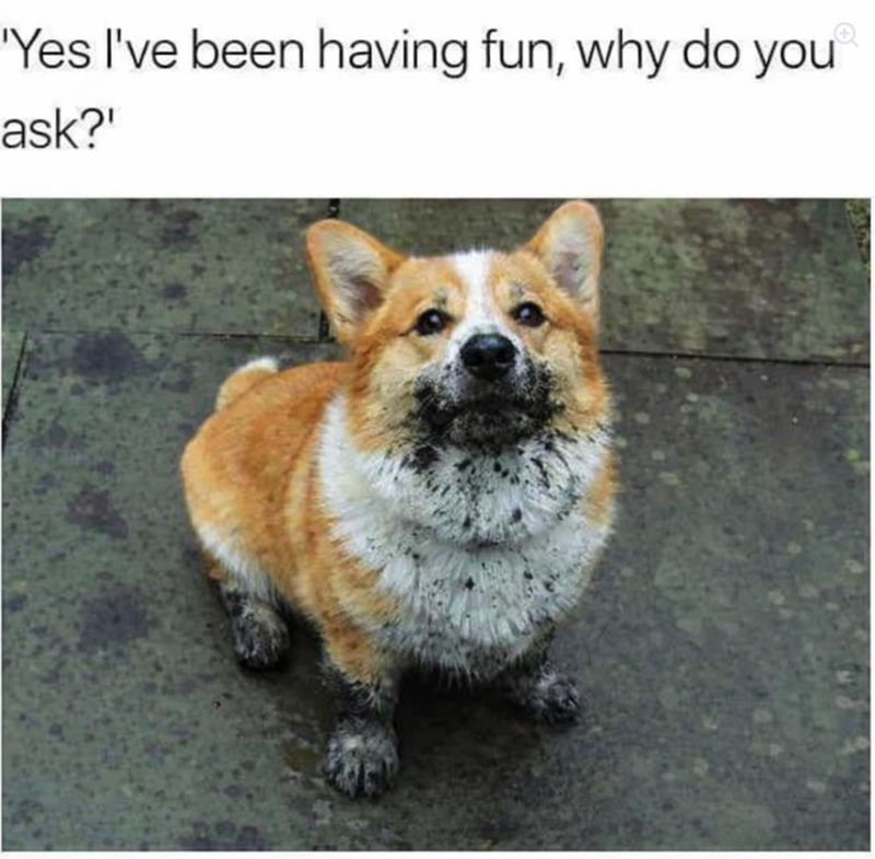 'Yes I've been having fun, why do you ask?"