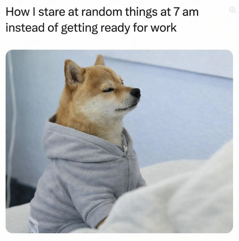 How I stare at random things at 7 am instead of getting ready for work