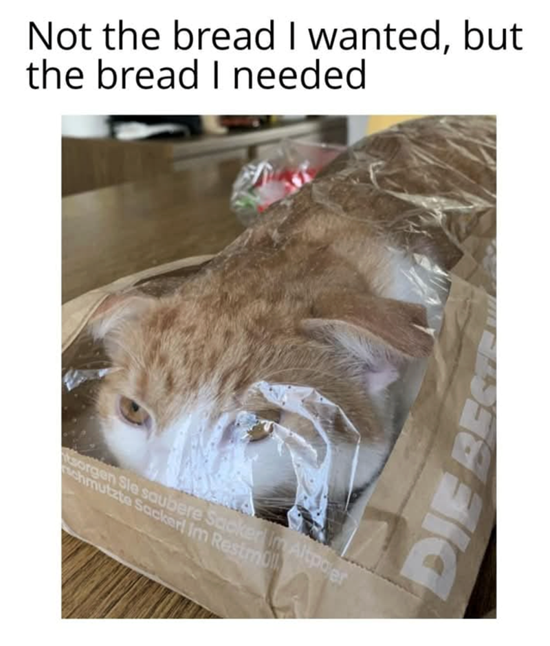 Not the bread I wanted, but the bread I needed sorgen Sie saubere Sacker im Altpoler chmutzte Sackerl Im Restm DIE